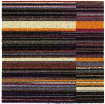 Piece of carpet Piece of carpet