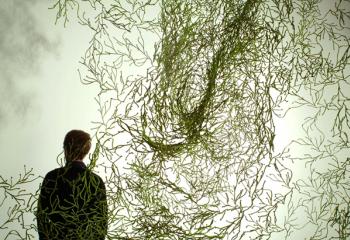 Roubaix exhibition Roubaix exhibition